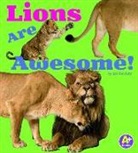 Lisa J. Amstutz - Lions Are Awesome!