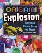 Christopher Harbo, Christopher L. Harbo - Origami Explosion