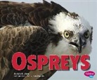 Rose Davin, Mary Dunn, Mary R Dunn, Mary R. Dunn - Ospreys