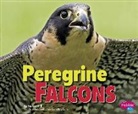 Melissa Hill, Melissa Ann Hill - Peregrine Falcons
