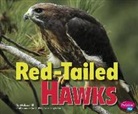Melissa Hill, Melissa Ann Hill - Red-tailed Hawks