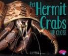 Jeni Wittrock - Pet Hermit Crabs Up Close