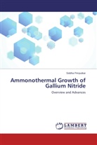 Siddha Pimputkar - Ammonothermal Growth of Gallium Nitride