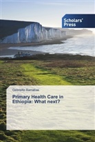 GebreAb Barnabas - Primary Health Care in Ethiopia: What next?