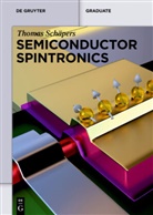 Thomas Schäpers - Semiconductor Spintronics