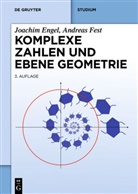 Joachi Engel, Joachim Engel, Andreas Fest - Komplexe Zahlen und ebene Geometrie