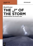 David Lester - THE I OF THE STORM