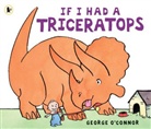 George Connor, O&amp;apos, George OConnor, George O'Connor, George O''connor, George O'Connor - If I Had a Triceratops