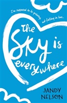 Jandy Nelson, Nelson Jandy - The Sky Is Everywhere
