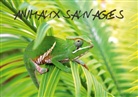 Edouard Bernasconi - ANIMAUX SAUVAGES (Livre poster DIN A4 horizontal)