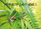 Edouard Bernasconi - ANIMAUX SAUVAGES (Livre poster DIN A3 horizontal)