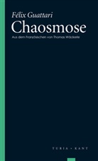 Félix Guattari - Chaosmose