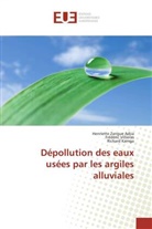 Collectif, Kamga, Richard Kamga, Frédéri Villieras, Frédéric Villieras, Henriett Zangue Adjia... - Depollution des eaux usees par