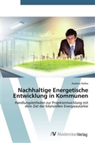 Andreas Nelles - Nachhaltige Energetische Entwicklung in Kommunen