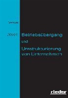 Lothar Beseler, Lothar (Dr. Beseler, Franz Josef Düwell, Franz Josef (Prof.) Düwell - Betriebsübergang und Umstrukturierung von Unternehmen