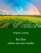 Brigitte Ludwig - Bei Ihm sehen wir uns wieder