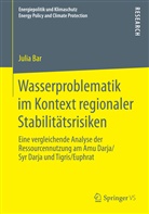 Julia Bar - Wasserproblematik im Kontext regionaler Stabilitätsrisiken