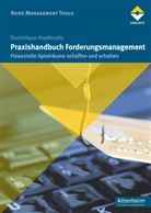 Dominique Hopfenzitz - Praxishandbuch Forderungsmanagement