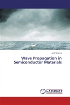 Amit Sharma - Wave Propagation in Semiconductor Materials
