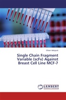 Elham Mahgoub - Single Chain Fragment Variable (scFv) Against Breast Cell Line MCF-7