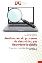 Djasrab Naguingar, Djasrabe Naguingar, Mamadou Samba Camara - Amelioration du processus de