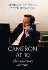 Anthony Seldon, Anthony Snowdon Seldon, Seldon Anthony, Peter Snowdon, Snowdon Peter - Cameron at 10