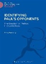Jerry Sumney, Jerry L Sumney, Jerry L. Sumney, Sumney Jerry L. - Identifying Paul's Opponents