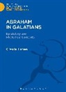 G Walter Hansen, G. Walter Hansen, G.walter Hansen, Hansen G - Abraham in Galatians