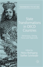 Heinz Schneider Rothgang, Steffen Schneider, Rothgang, H Rothgang, H. Rothgang, Heinz Rothgang... - State Transformations in Oecd Countries