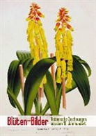Calvendo - Blüten-Bilder: Botanische Zeichnungen aus dem 19. Jahrhundert (Posterbuch DIN A2 hoch)