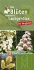 Die Blüten heimischer Laubgehölze im Vergleich - Bestimmungskarten