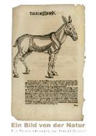 Calvendo - Ein Bild von der Natur - Die Tierzeichnungen von Konrad Gesner (Posterbuch DIN A2 hoch)