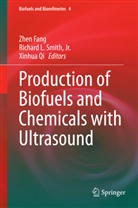 Zhen Fang, Richar L Smith  Jr, Richard L Smith Jr, Xinhua Qi, Jr. Smith, Richard L. Smith... - Production of Biofuels and Chemicals with Ultrasound