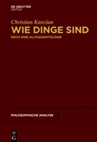 Christian Kanzian - Wie Dinge sind