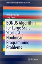 Amy David, Urmil Diwekar, Urmila Diwekar - BONUS Algorithm for Large Scale Stochastic Nonlinear Programming Problems