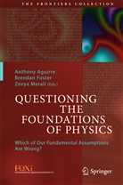 Anthony Aguirre, Brenda Foster, Brendan Foster, Zeeya Merali - Questioning the Foundations of Physics