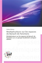 Violeta Petkova, Petkova-v - Multiplicateurs sur les espaces