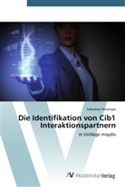 Sebastian Hassinger - Die Identifikation von Cib1 Interaktionspartnern