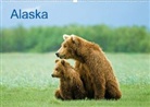 Thomas Sbampato, McPHOTO Thomas Sbampato - Alaska (Posterbuch DIN A2 quer)