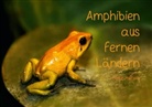 Heike Hultsch - Amphibien aus fernen Ländern (Tischaufsteller DIN A5 quer)