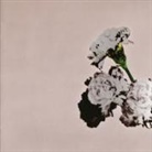 John Legend - Love In The Future, 1 Audio-CD (Special Edition) (Audio book)