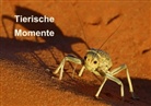 Gerald Wolf - Tierische Momente (Tischaufsteller DIN A5 quer)