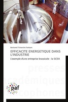 Fankam-b, Bertrand Tchanche Fankam - Efficacite energetique dans l
