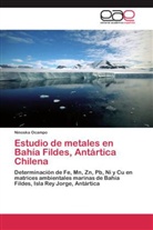 Ninoska Ocampo - Estudio de metales en Bahía Fildes, Antártica Chilena