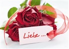 Corinna Gissemann - Liebe ... (Posterbuch DIN A2 quer)