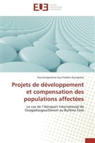Sountongonoma Guy Frederic Zoungrana, Zoungrana-s - Projets de developpement et