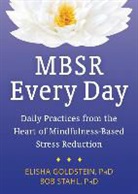 Elisha Goldstein, Bob Stahl, Bob/ Goldstein Stahl - MBSR Every Day