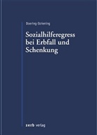 Gudrun Doering-Striening - Der Sozialhilferegress bei Erbfall und Schenkung