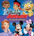 DISNEY BOOK GROUP, Disney Book Group (COR)/ Disney Storybook Artists, Disney Storybook Art Team - Disney Junior Storybook Collection