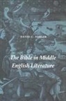 David C Fowler, David C. Fowler, Professor David C. Fowler - The Bible in Middle English Literature